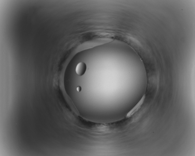 X0000089870325200707051156