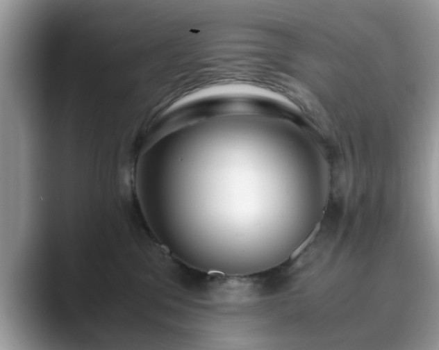 X0000089870329200707051156