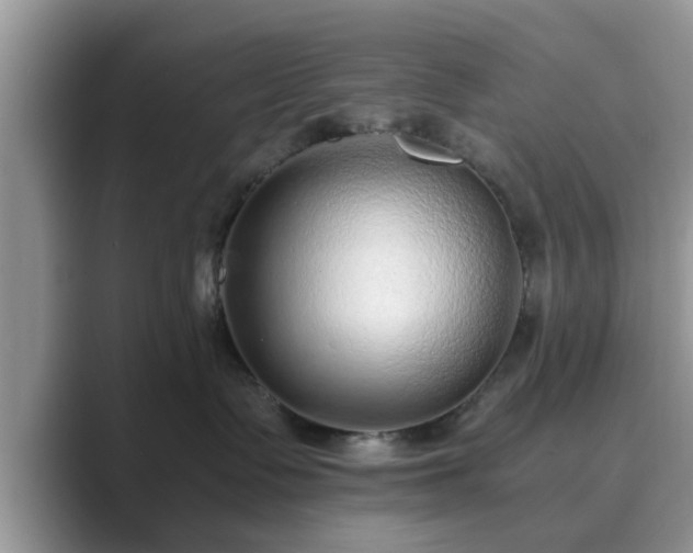 X0000089870335200707051156
