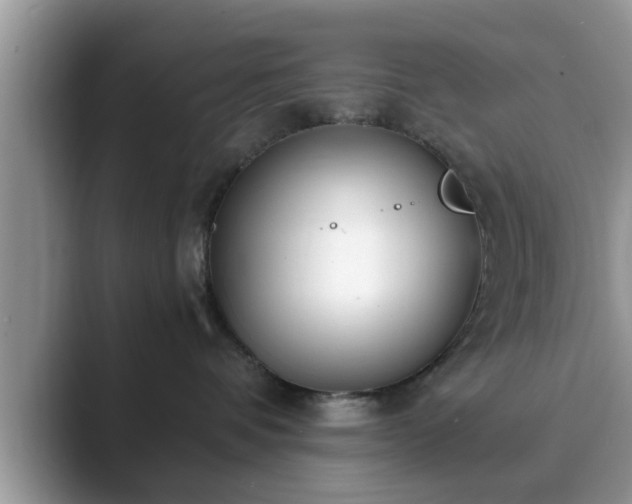 X0000089870336200707051156