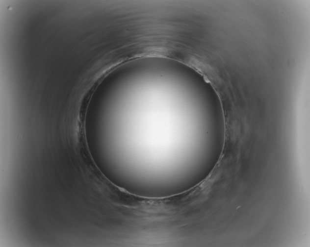 X0000089870338200707051156