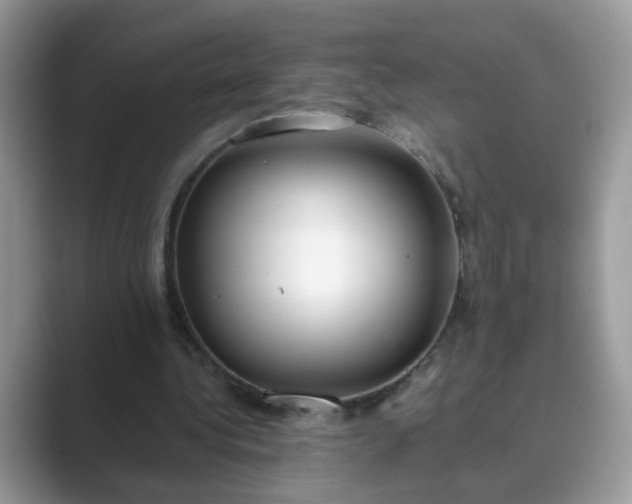 X0000089870340200707051156