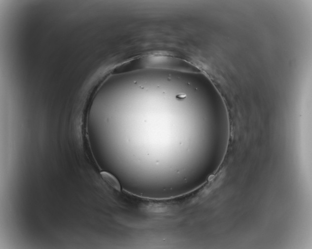 X0000089870341200707051156
