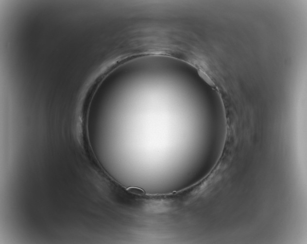 X0000089870342200707051156
