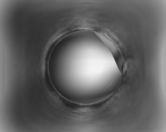 X0000089870344200707051156
