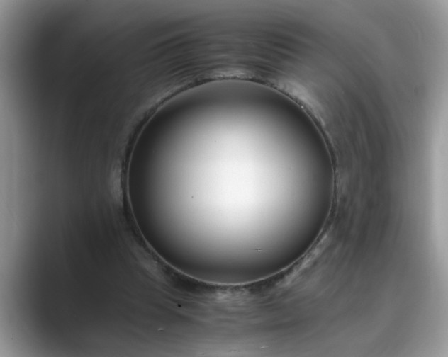 X0000089870345200707051156