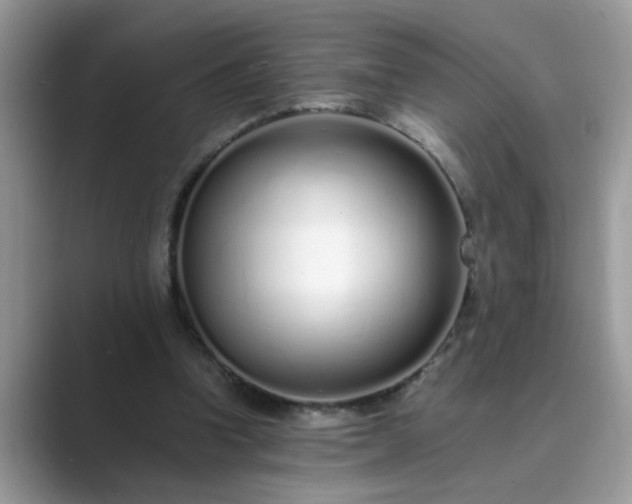 X0000089870346200707051156