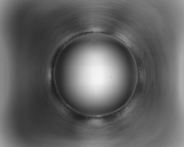 X0000089870350200707051156