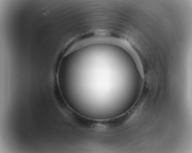 X0000089870352200707051156
