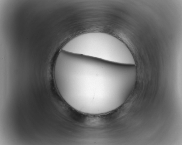 X0000089870354200707051156