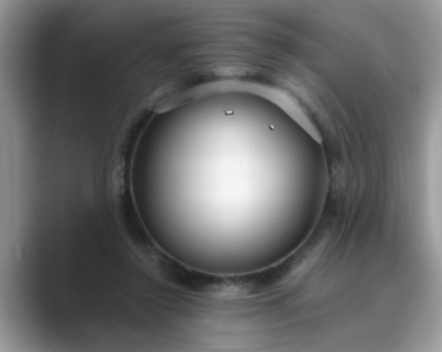 X0000089870356200707051156