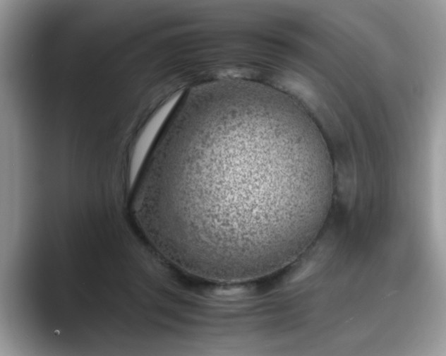X0000089870357200707051156