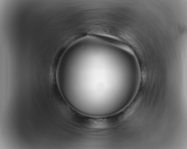 X0000089870359200707051156