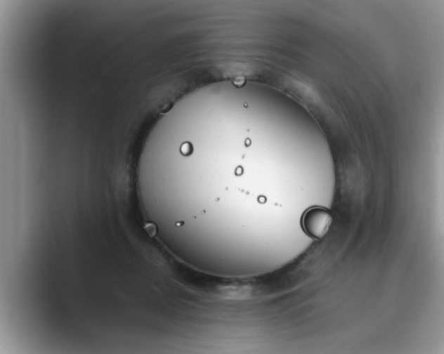 X0000089870362200707051156