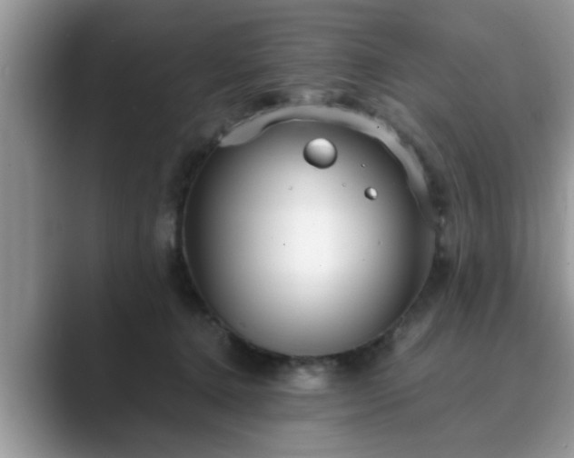 X0000089870368200707051156