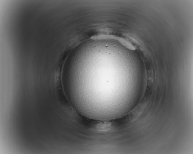 X0000089870369200707051156