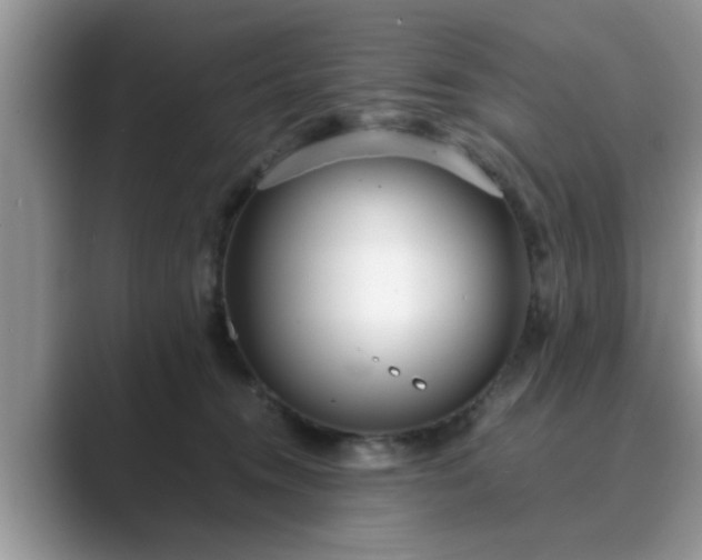 X0000089870372200707051156