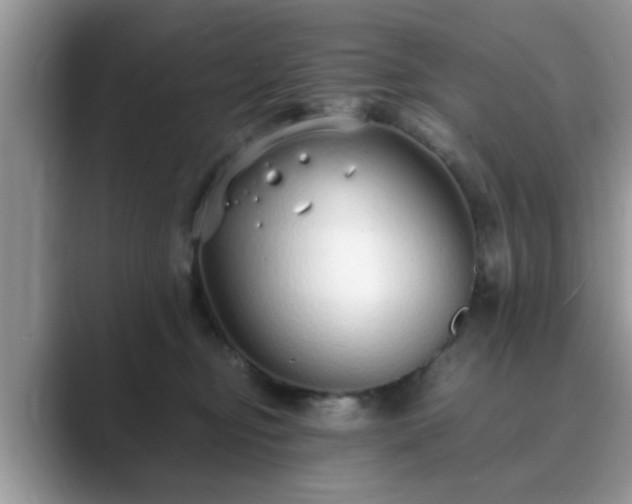 X0000089870374200707051156