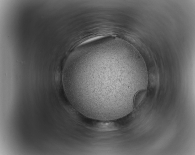 X0000089870375200707051156