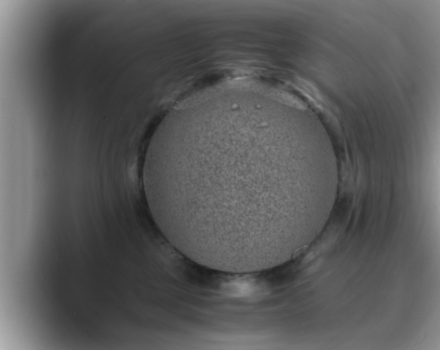 X0000089870377200707051156