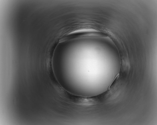 X0000089870379200707051156