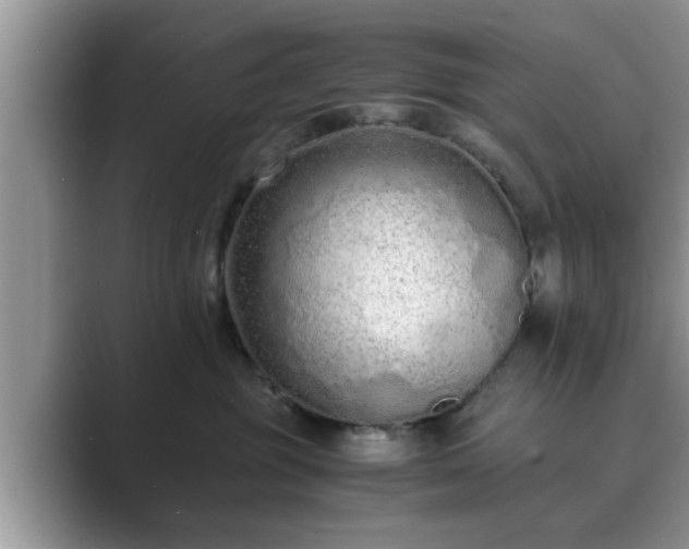 X0000089870381200707051156