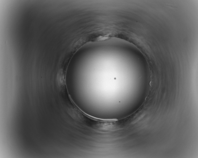 X0000089870384200707051156