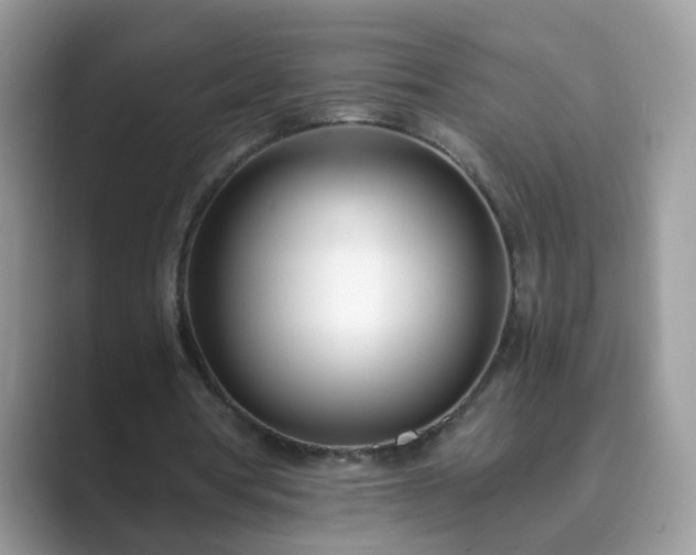 X0000089870386200707051156