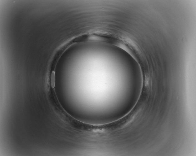 X0000089870388200707051155