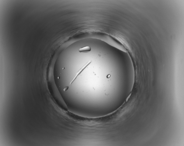 X0000089870389200707051155