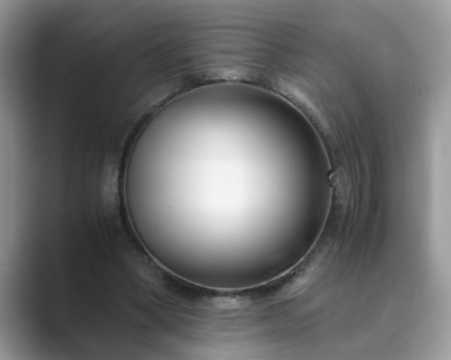 X0000089870394200707051155