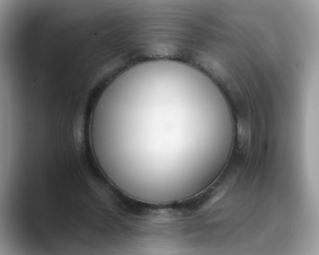 X0000089870396200707051155