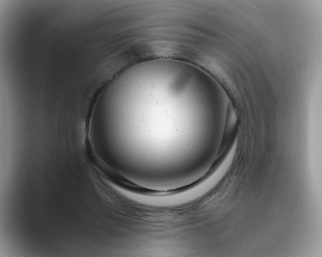 X0000089870397200707051155