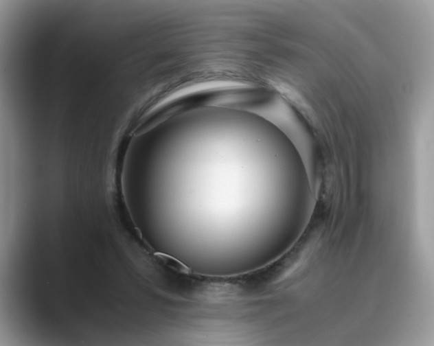 X0000089870399200707051155