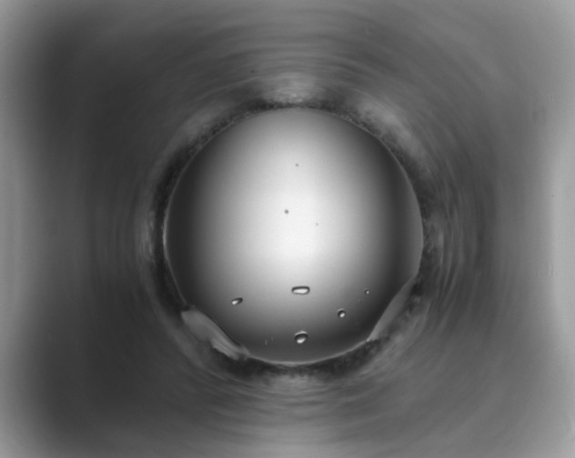 X0000089870400200707051155