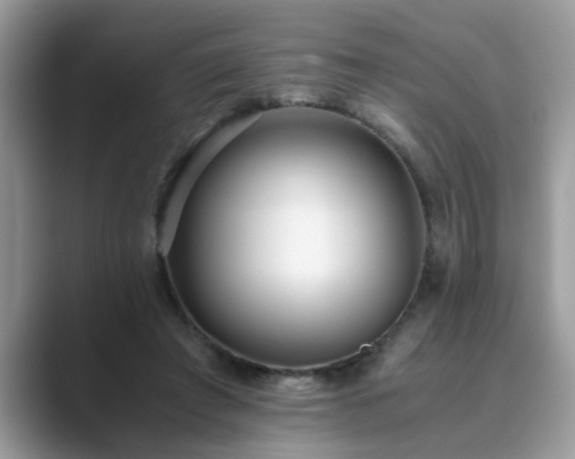 X0000089870401200707051155