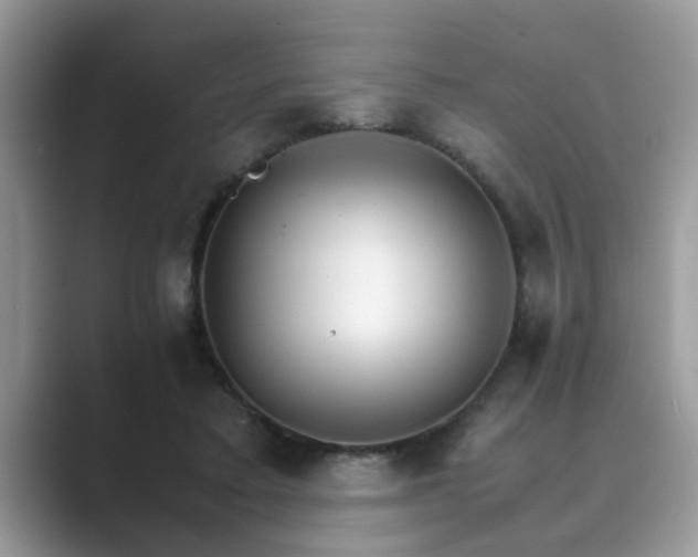 X0000089870403200707051155