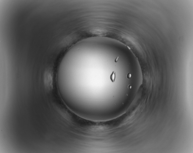 X0000089870404200707051155