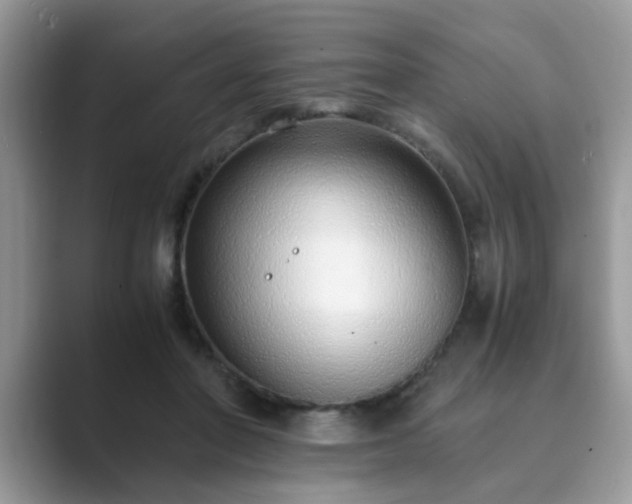 X0000089870406200707051155