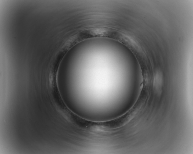 X0000089870408200707051155