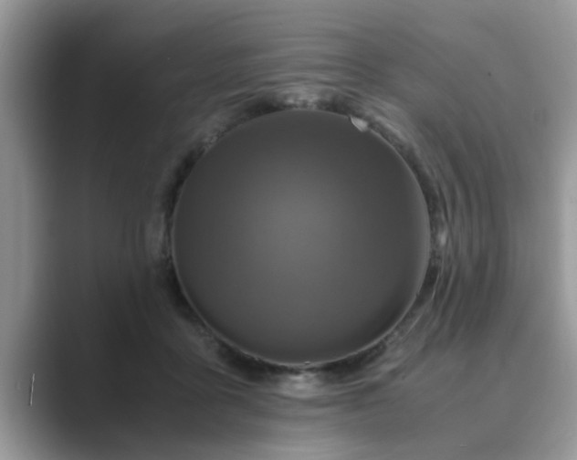 X0000089870411200707051155