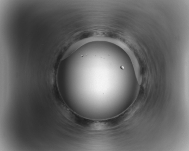 X0000089870413200707051155