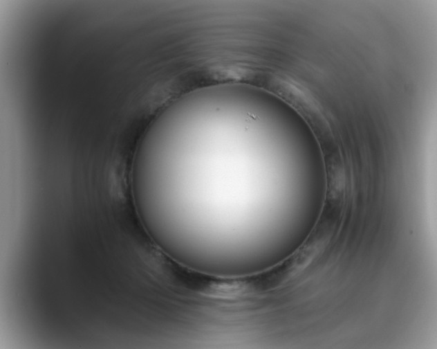 X0000089870414200707051155
