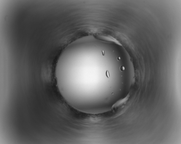 X0000089870416200707051155