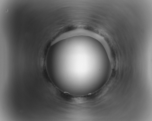 X0000089870417200707051155