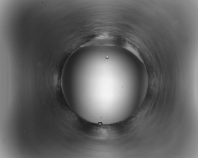 X0000089870420200707051155