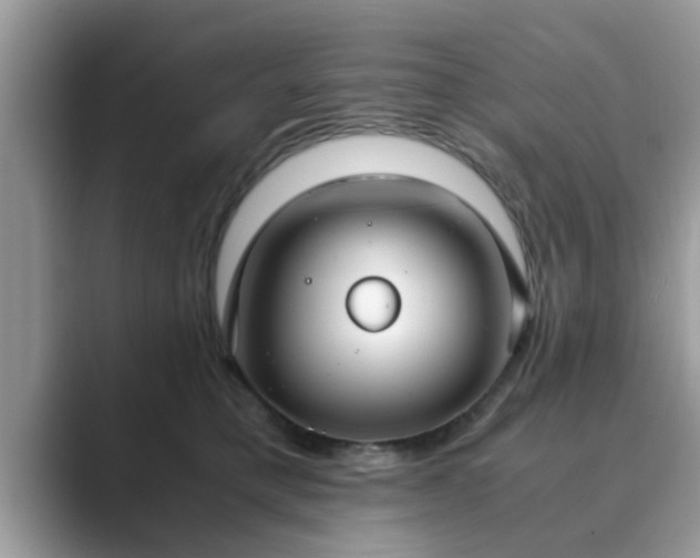 X0000089870421200707051155
