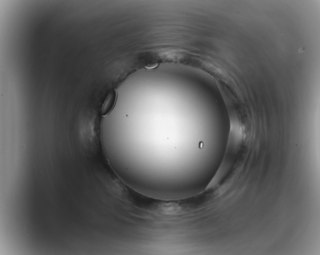X0000089870424200707051155
