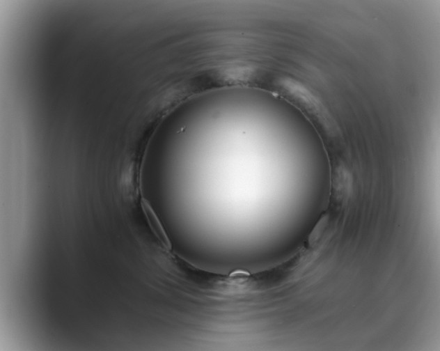 X0000089870428200707051155