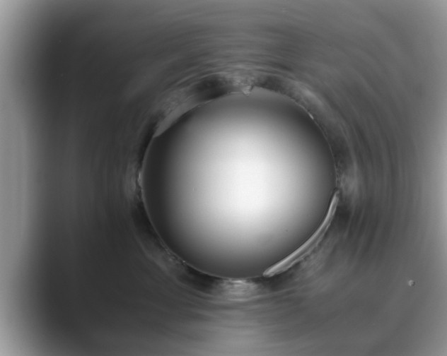 X0000089870429200707051155